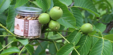 清水農發丨清水縣農發公司啟動全城農產品收購服務