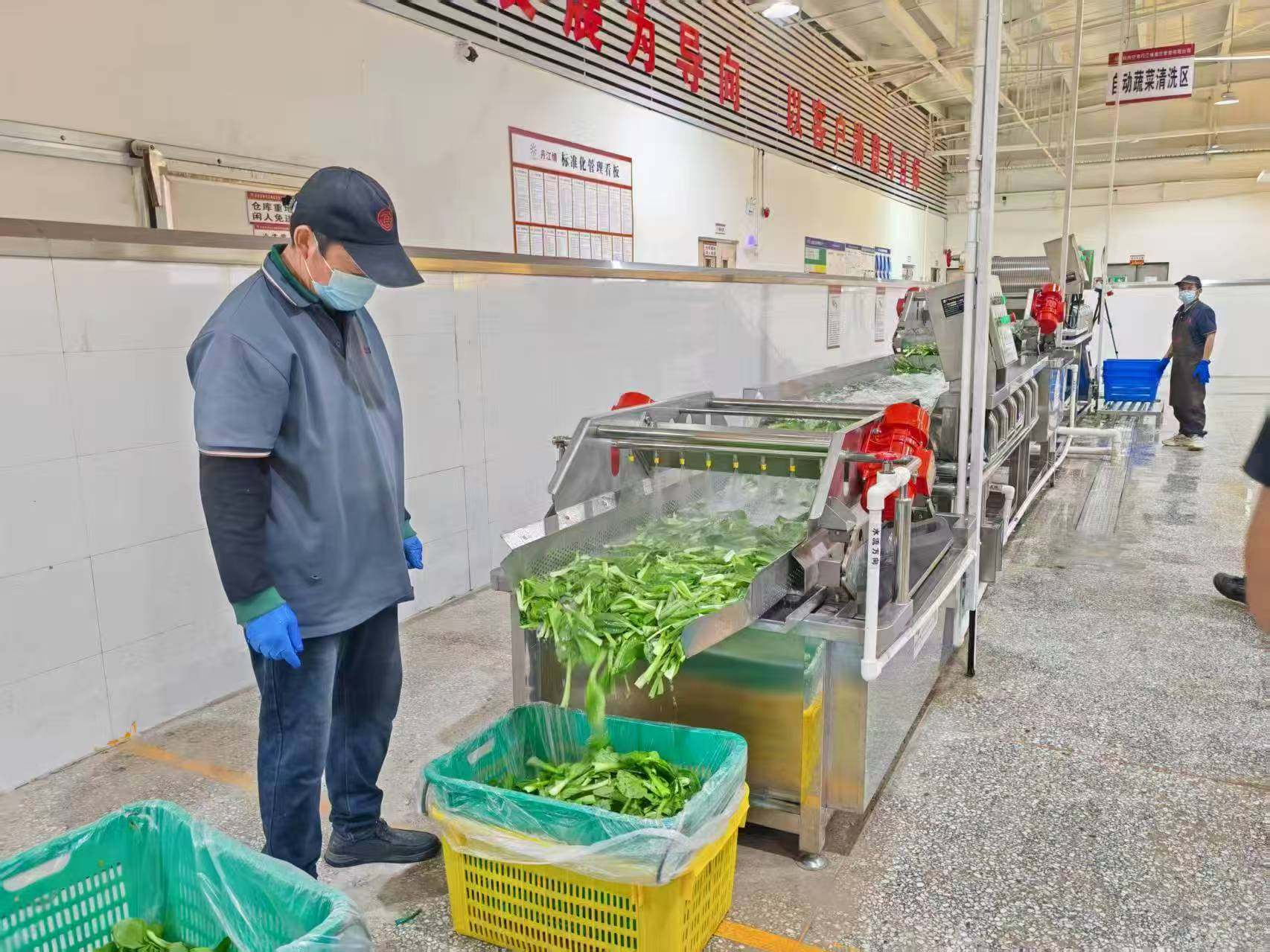 “吃”出生產力 揭秘超級工廠的餐飲管理智慧與農產品高效利用