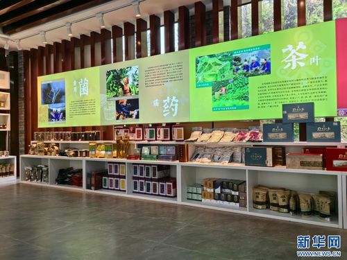 念好“生態(tài)經” 打造新業(yè)態(tài)——廣西金秀瑤寨鄉(xiāng)村振興見聞