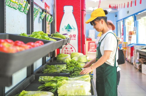 海口經濟圈 以產銷對接為紐帶，譜寫市縣優(yōu)勢互補、資源共享新篇章