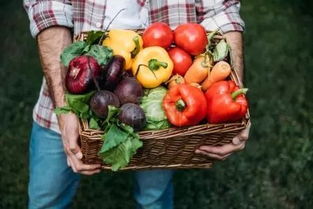 鄉(xiāng)村規(guī)劃設(shè)計(jì)視角下 農(nóng)產(chǎn)品品牌營銷的十大誤區(qū)與新農(nóng)人啟示